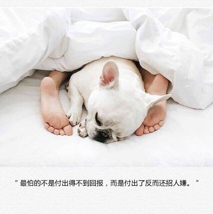 敏感是你的硬伤，心软是你的致命伤。